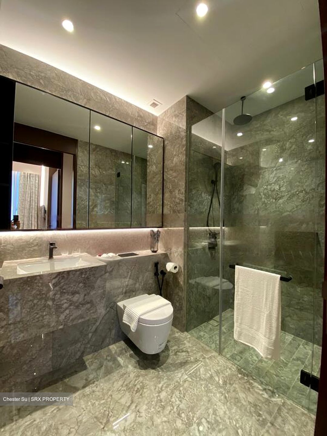 Jervois Privé (D10), Apartment #471706251